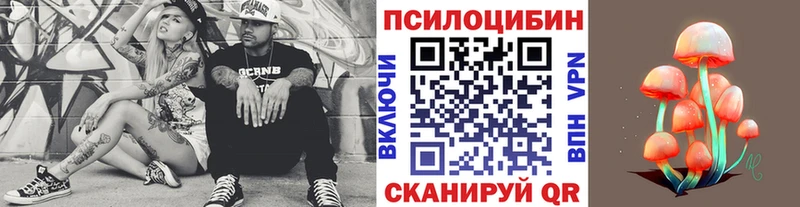 Псилоцибиновые грибы мицелий  Купить закладки  Печоры 